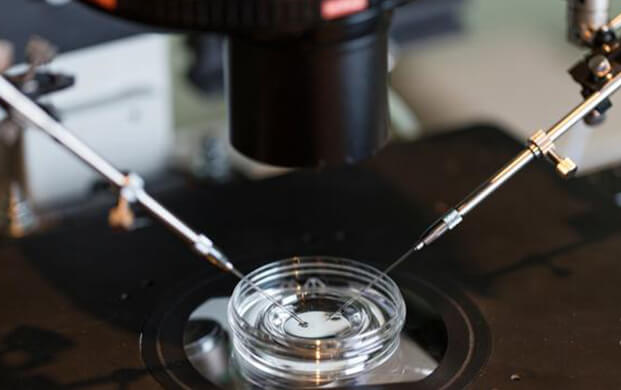 新型IVF技術(shù)通過(guò)糖分子綁定延長(zhǎng)精子存活期