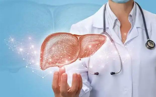 日本培育代謝活性肝細(xì)胞類(lèi)器官，液氮冷凍技術(shù)突破存儲(chǔ)瓶頸