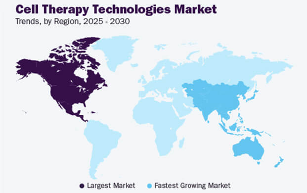 細(xì)胞治療技術(shù)市場(chǎng)增長(zhǎng)態(tài)勢(shì)強(qiáng)勁，實(shí)驗(yàn)室的液氮容器需求攀升